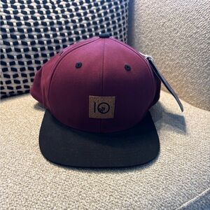 Tentree cork emblem snap back hat